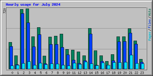 Hourly usage for July 2024